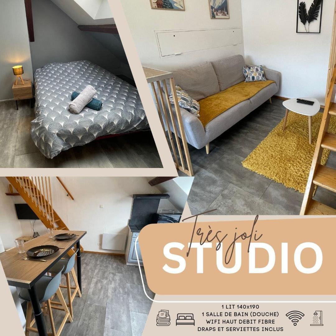 Superbe Studio A Proximite Du Centre-Ville Saint-Die-des-Vosges المظهر الخارجي الصورة