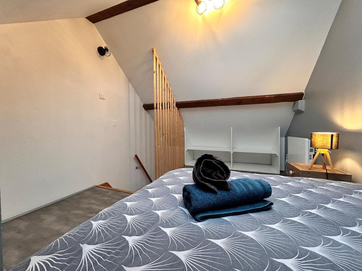 Superbe Studio A Proximite Du Centre-Ville Saint-Die-des-Vosges المظهر الخارجي الصورة